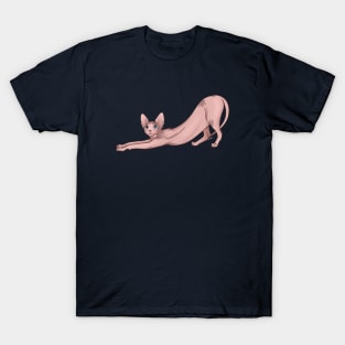 Red Sphynx Cat With Blue Eyes T-Shirt